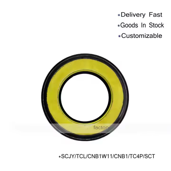 Power Steering Oil Seal SCJY TC4P Cnb CNB1W11